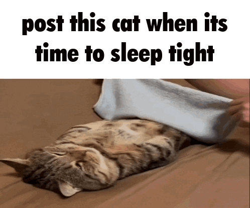 Cat Post This Cat When Its Time to Sleep Tight