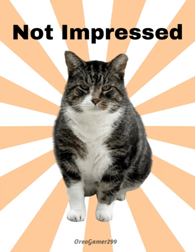 Cat Poster Not Impressed