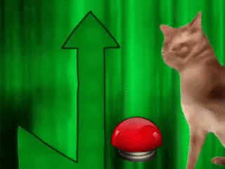 Cat Pressing Red Button Near Green Arrow