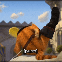 Cat Purrs