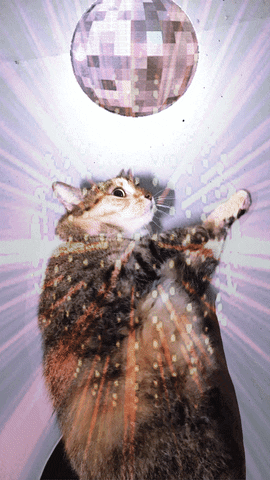 Cat Reaching for Disco Ball