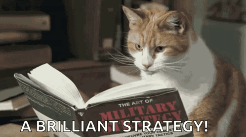 Cat Reading Book About Military Strategy