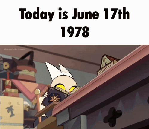 Cat Reading Book June 17 1978