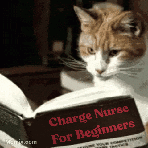 Cat Reading Charge Nurse for Beginners Book