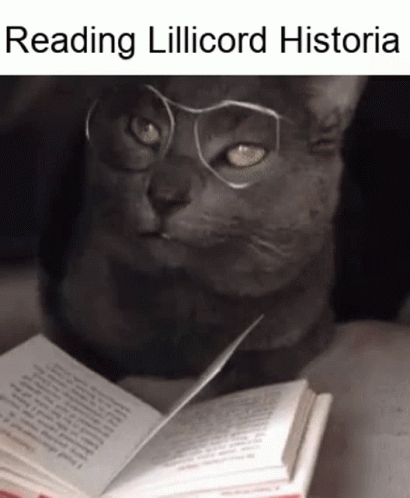 Cat Reading Historia GIF