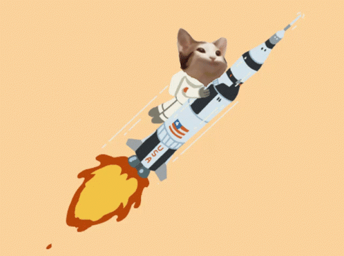Cat Riding Rocket with USC