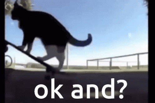 Cat Riding Skateboard with Ok