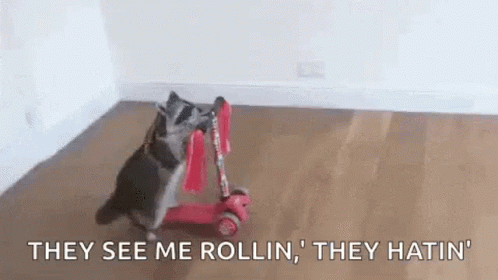 Cat Riding They See Me Rollin GIF