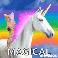 Cat Riding Unicorn With Rainbow Mane GIF