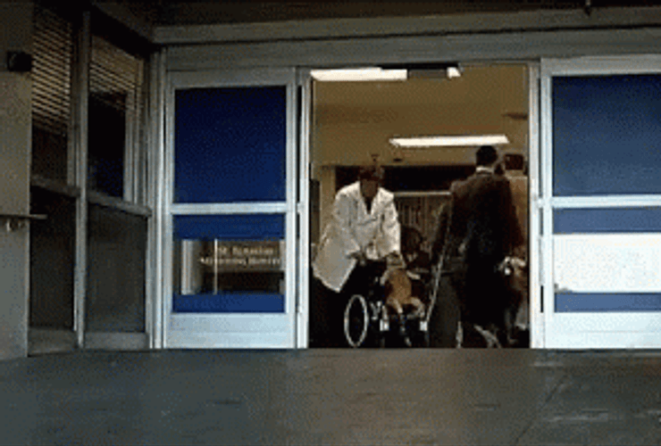 Cat Riding Wheelchair GIF