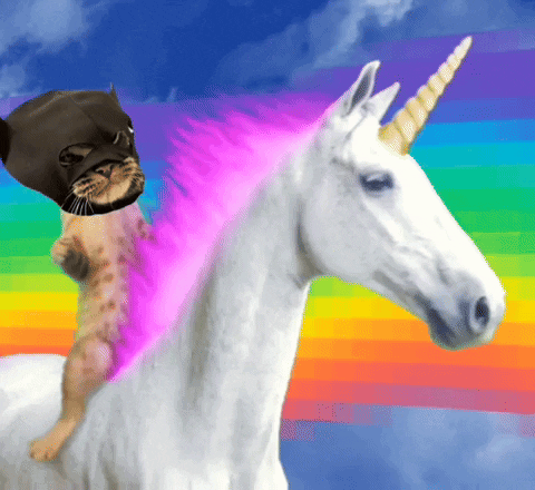 Cat Riding White Unicorn GIF