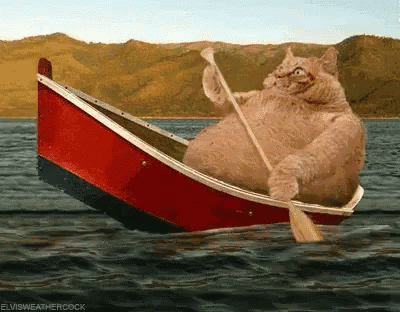 Cat Rowing Boat In Water GIF