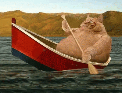 Cat Rowing Boat On Lake GIF