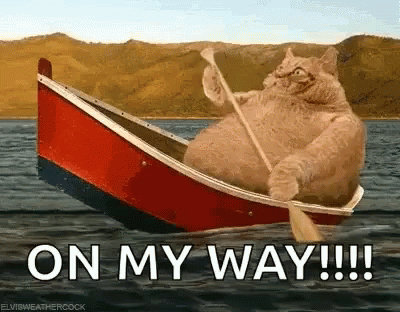 Cat Rowing Boat On My Way GIF