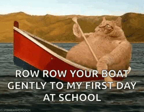 Cat Rowing Boat Saying Row Row Your Boat GIF