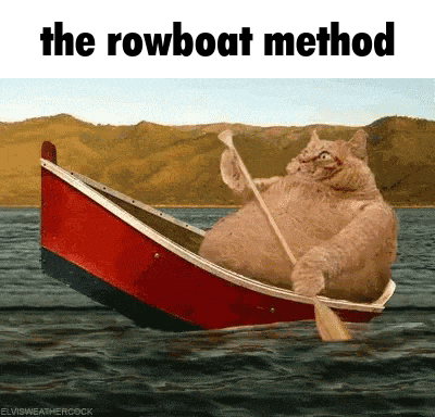 Cat Rowing Boat The Rowboat Method GIF