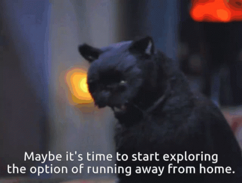 Cat Running Away From Home GIF