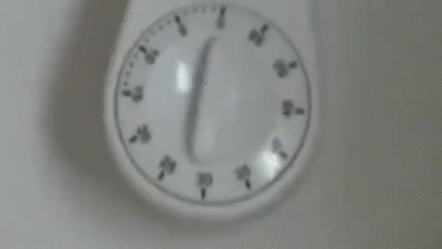 Cat Running Scared On Timer GIF