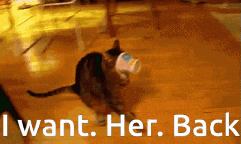 Cat Running With Cup Saying I Want Her Back