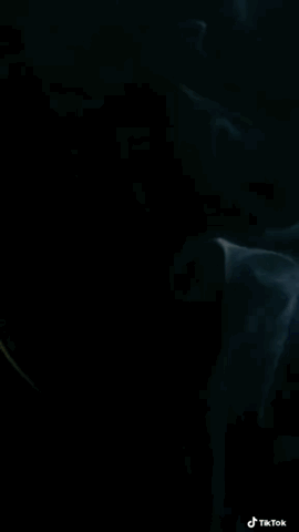 Cat's Ear TikTok Black Background