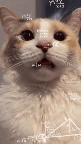 Cat's Face with Mathematical Equations