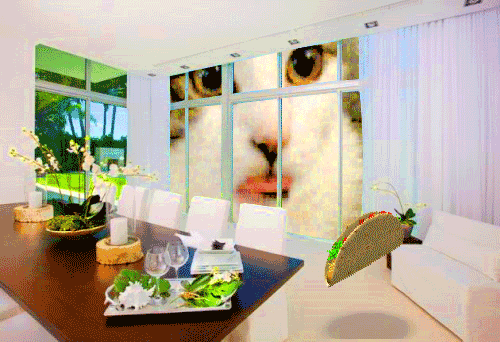 Cat Salivating Over Dirty Taco Tuesday GIF