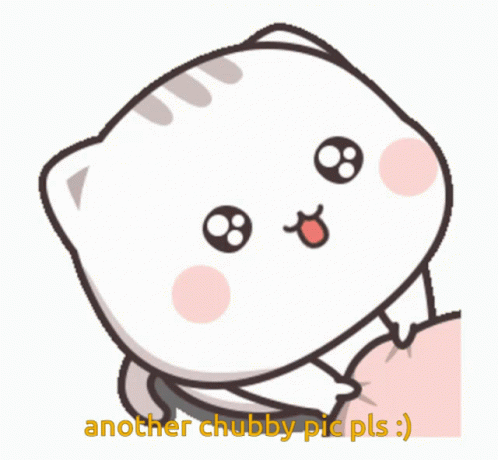 Cat Saying Another Chubby Pic Pls