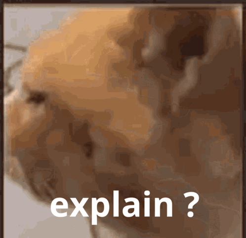 Cat Saying Explain