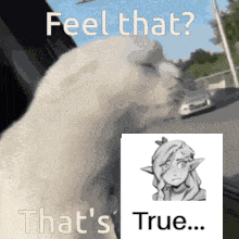 Cat Saying Feel That That's True