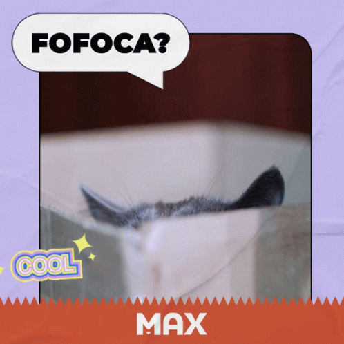 Cat Saying Fofoca GIF