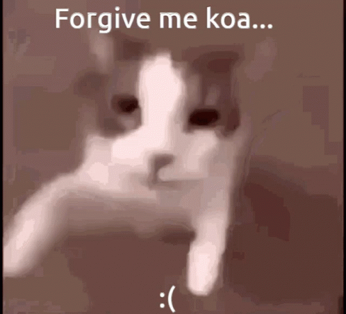 Cat Saying Forgive Me Koa