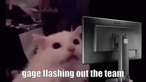 Cat Saying Gage Flashing Out the Team