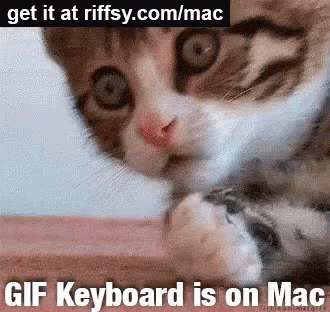 Cat Saying Gif Keyboard Is On Mac