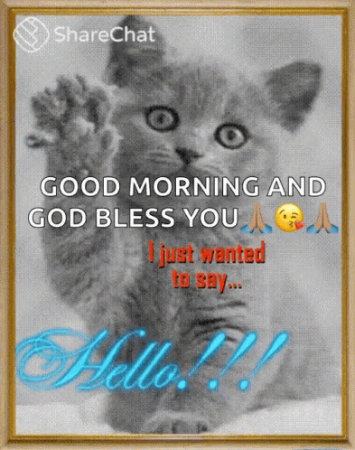 Cat Saying Good Morning And God Bless You GIF