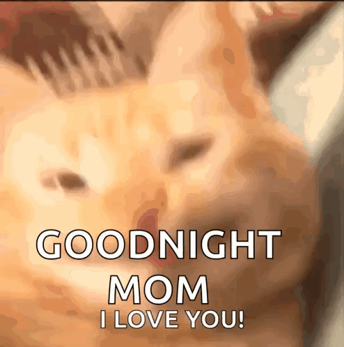 Cat Saying Goodnight Mom I Love You