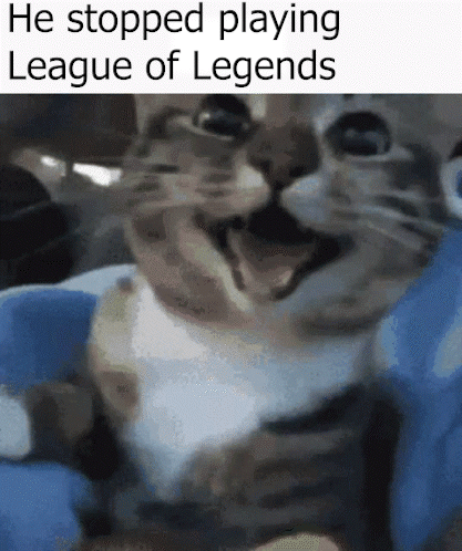 Cat Saying He Stopped Playing League of Legends