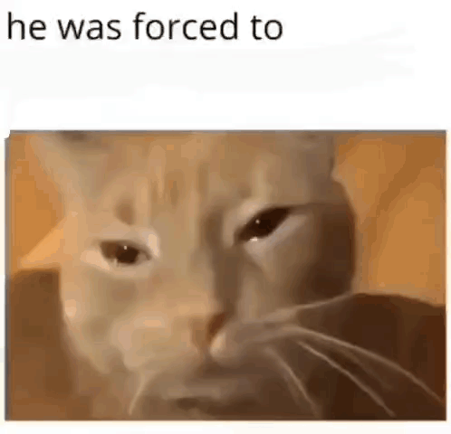 Cat Saying He Was Forced To