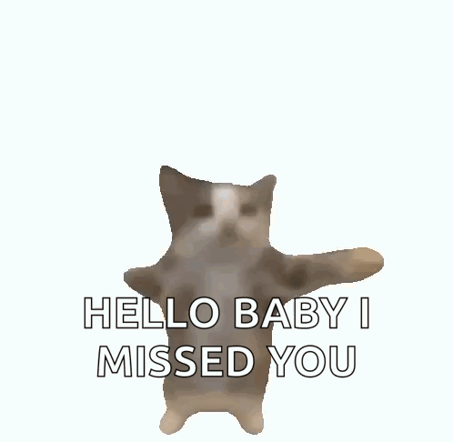 Cat Saying Hello Baby I Missed You