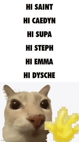 Cat Saying Hi Saint Hi Caedyn Hi Supa Hi Steph Hi Emma Hi Dysche
