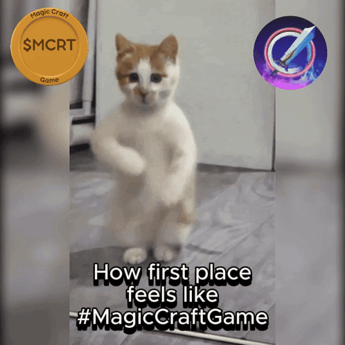 Cat Saying How First Place Feels Like