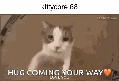 Cat Saying Hug Coming Your Way Love You
