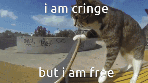 Cat Saying I Am Cringe But Free GIF
