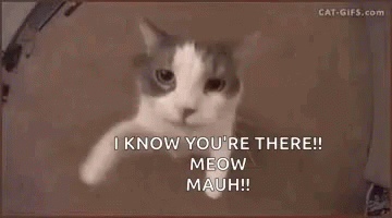 Cat Saying I Know You're There