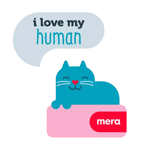 Cat Saying I Love My Human