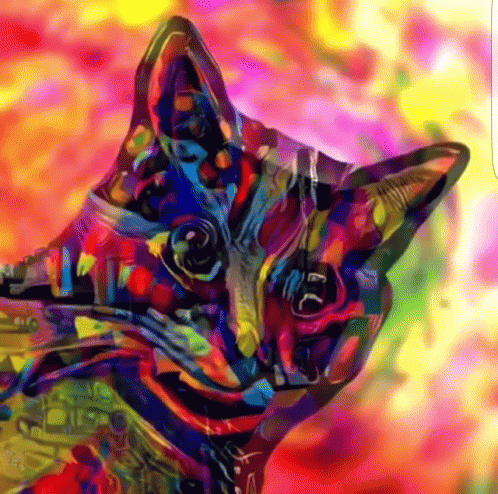 Cat Saying I Love You GIF