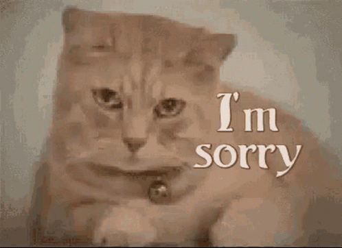 Cat Saying I'm Sorry GIF