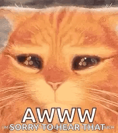 Cat Saying I'm Sorry to Hear That