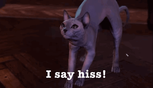 Cat Saying I Say Hiss GIF