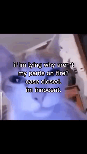 Cat Saying If I'm Lying Why Aren't My Pants on Fire