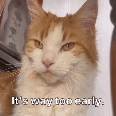 Cat Saying It's Way Too Early